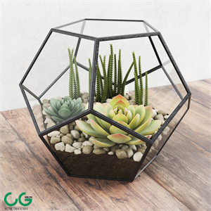 Florarium